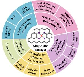 说明: 图表, 旭日形描述已自动生成